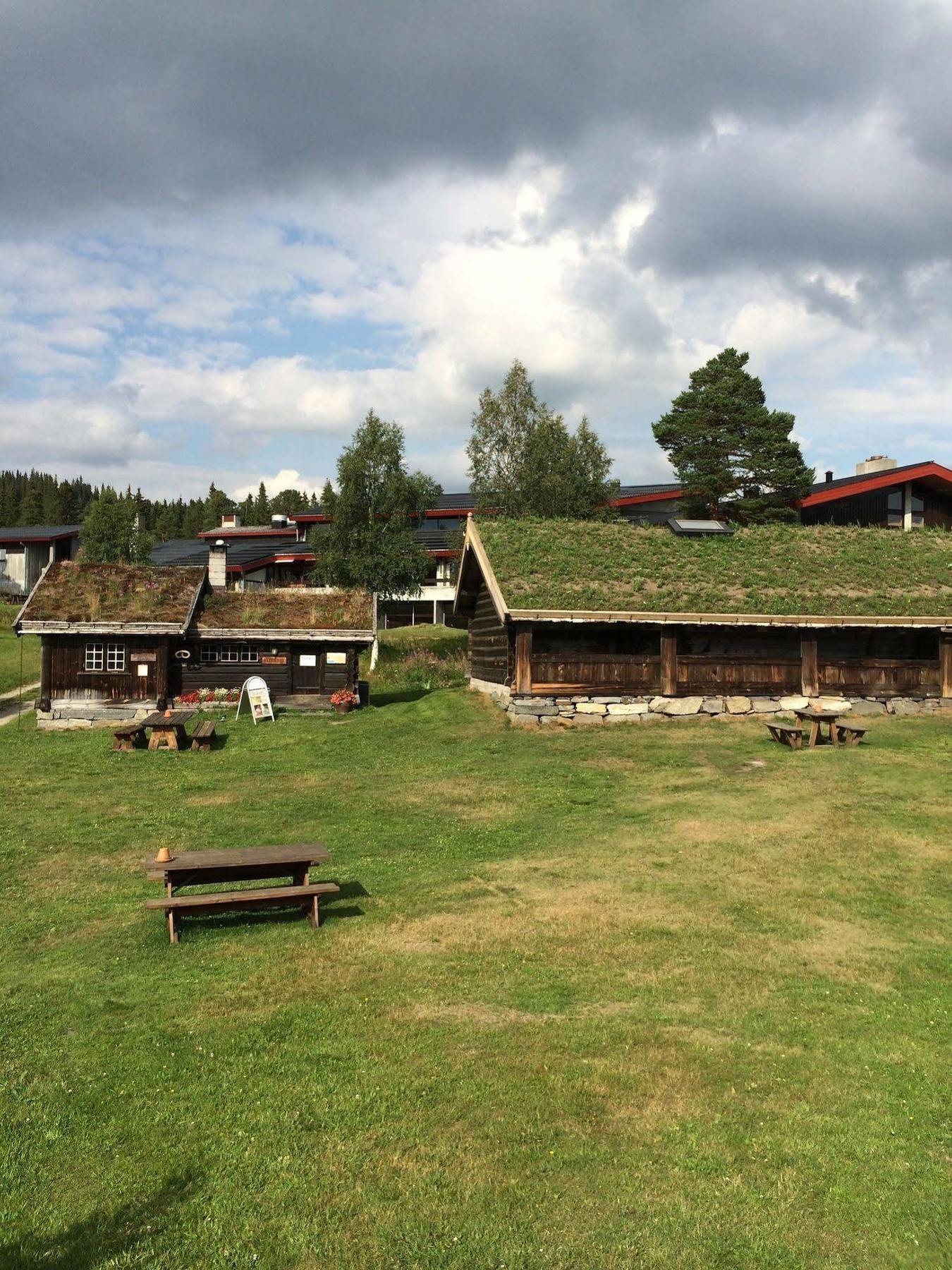 Rauland Vandrerhjem Akademiet Экстерьер фото